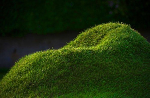 Травяное кресло TERRA: вырасти свой холмик для раздумий