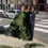 В США арестовали "человека-дерево"